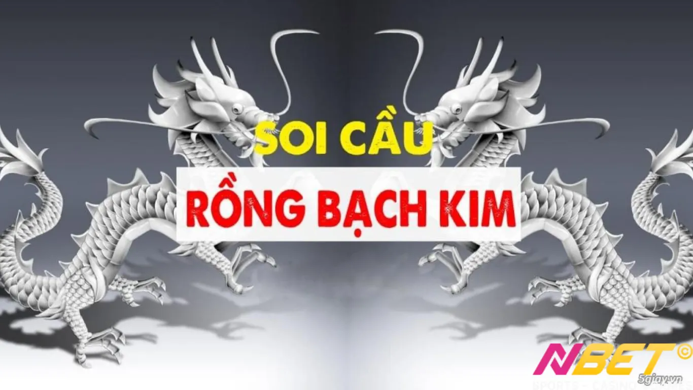 Tìm hiểu về Rồng bạch kim là gì?